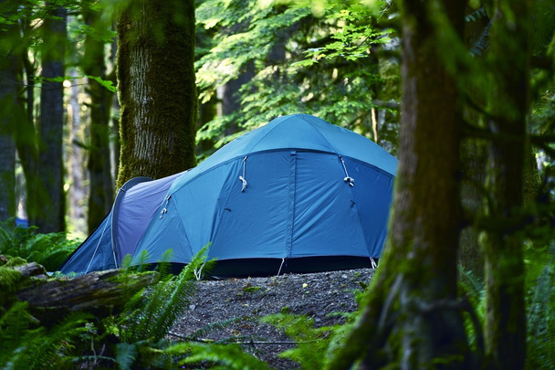 Tent Camping - Photo, Image