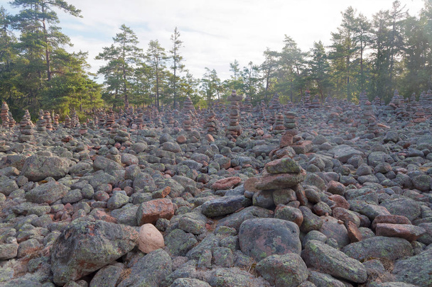 Area in the pine forest covered with many mysterious piles of stones in the village Geta on the island Aaland, part of Finland in northern Europe - Photo, Image