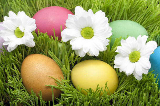 Easter eggs with daisy on abstract green grass - Фото, зображення