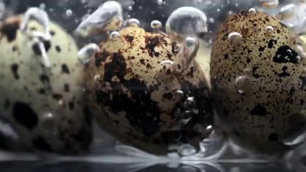 Wachteleier im kochenden Wasser mit vielen Blasen in Zeitlupe, Nahrung in Superzeitlupe, 240 Bilder pro Sekunde - Filmmaterial, Video