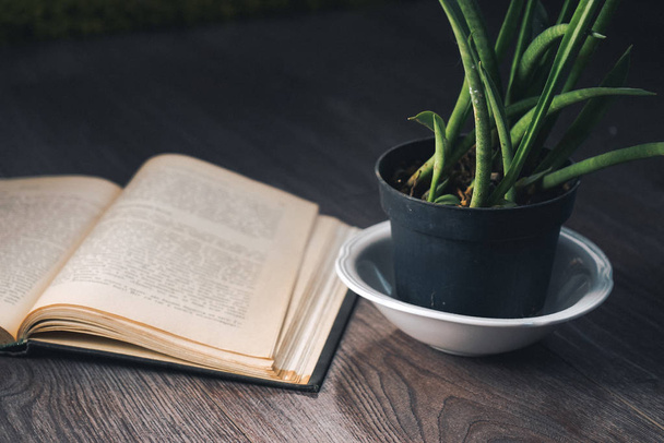 A dark wooden surface lies a book and a pot of green plant - Фото, зображення