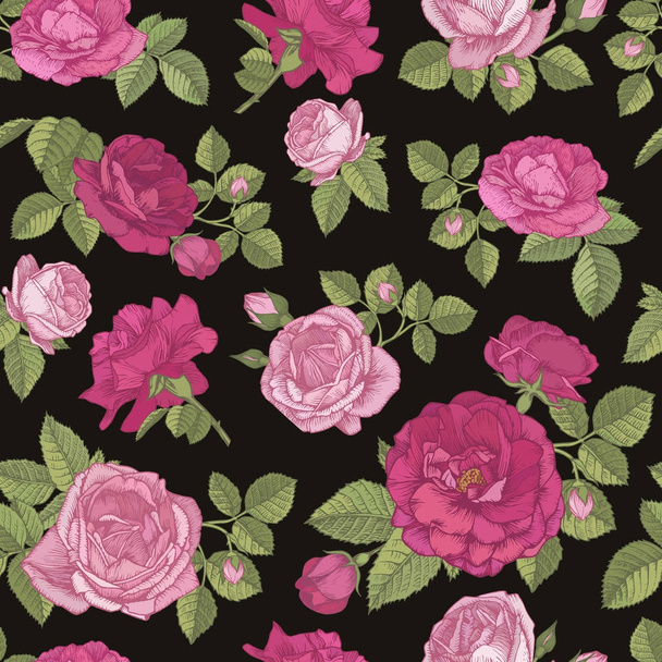 Vector floral seamless pattern with hand drawn roses in vintage style - Вектор,изображение