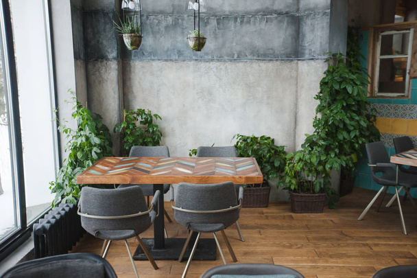Cafe εσωτερικό με πράσινη διακόσμηση - Φωτογραφία, εικόνα