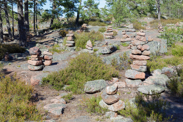 Área en el bosque cubierta de muchas pilas misteriosas de piedras
 - Foto, imagen