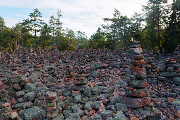 Superficie dans la forêt couverte de nombreux tas mystérieux de pierres
 - Photo, image
