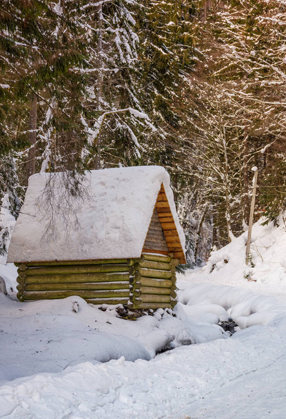 woodshed by the road in winter forest - Фото, изображение