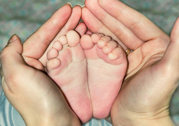 Mother holds newborn baby's bare heels. Tiny feet in woman's han - Photo, Image