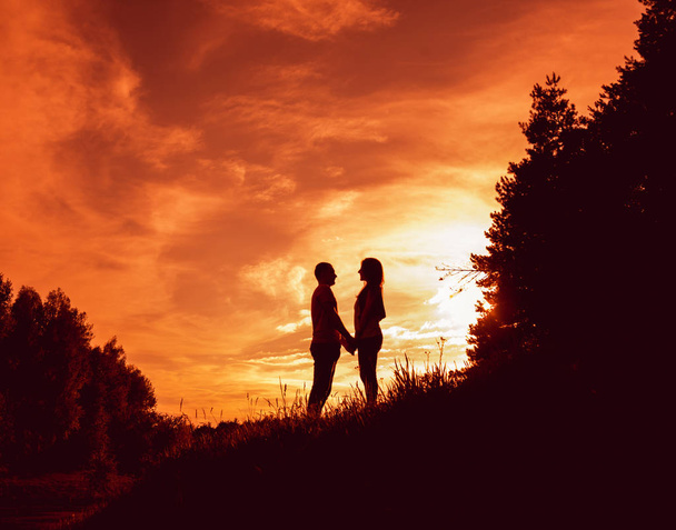Casal jovem ao pôr-do-sol no parque. Silhuetas
. - Foto, Imagem