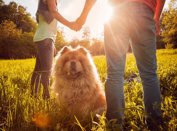 Young couple with their dog chow-chow walking in the park and having good time - Foto, Imagen