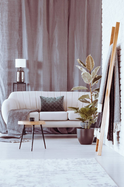 Grey cloth in living room - Photo, Image