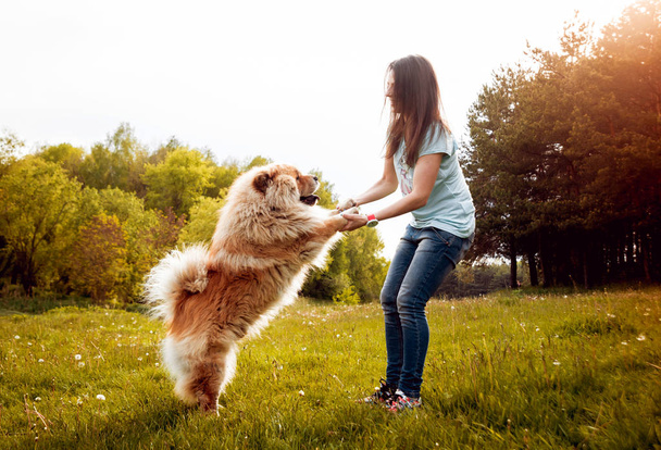 Μελαχρινή νεαρή γυναίκα με το Τσόου Τσόου σκύλο βόλτα στο πάρκο και έχοντας καλή στιγμή - Φωτογραφία, εικόνα