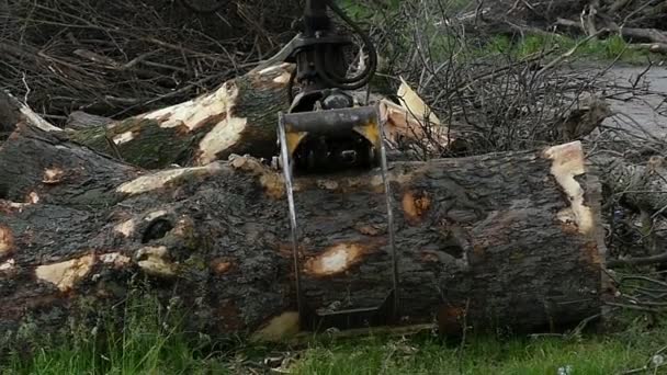 A metallic hand grabs one log and brings it to a truck in slo-mo - Footage, Video