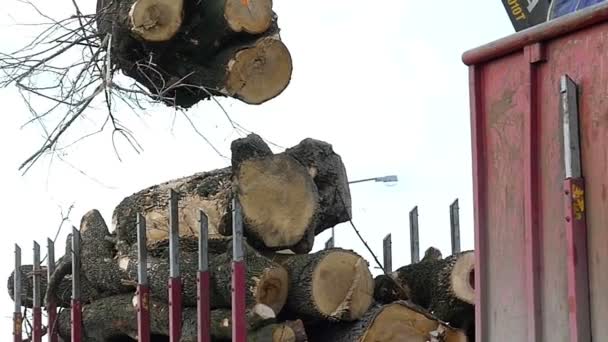 A metallic hand brings a log to a truck and loads it in slo-mo - Footage, Video