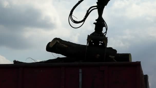 A metallic crane arm puts logs in a truck box in summer. - Footage, Video