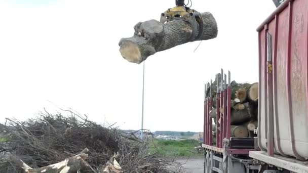 Ein Roboterkran-Arm greift sich einen Baumstamm und bewegt sich in der Luft auf einem Flussufer - Filmmaterial, Video