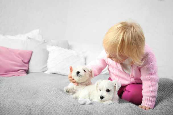 Little cute girl with puppies at home - Foto, imagen