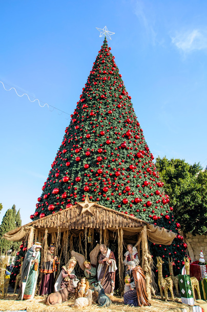 Christmas tree in Bethlehem, Palestine - Photo, Image