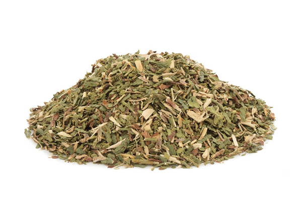 Thuja Leaf Herb  - Photo, Image