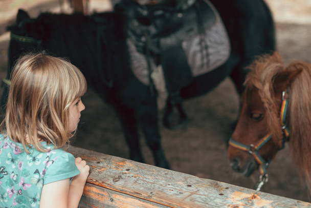 Linda niña mirando a un pony
 - Foto, imagen