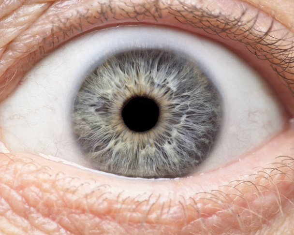 Macro photo of human eye, iris, pupil, eye lashes, eye lids. - Valokuva, kuva