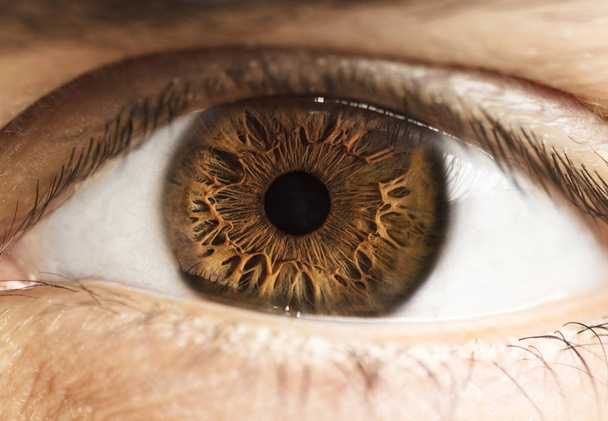 Macro photo of human eye, iris, pupil, eye lashes, eye lids. - Photo, Image