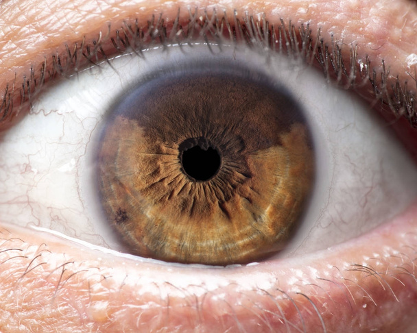 Makro fotografii lidské oko, iris, žák, řasy, oční víčka. - Fotografie, Obrázek