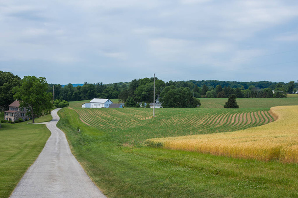 Obszarów wiejskich kraju York County Pennsylvania Farmland, letni dzień - Zdjęcie, obraz