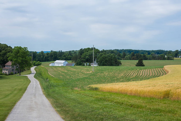 Obszarów wiejskich kraju York County Pennsylvania Farmland, letni dzień - Zdjęcie, obraz