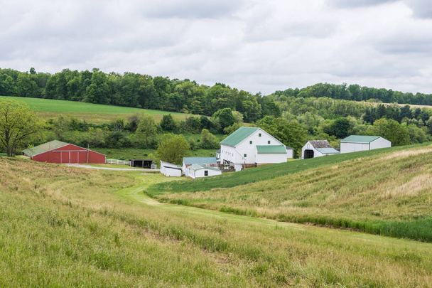 Сільських ландшафтів регіону Хартфорд округу сільськогосподарських угідь в північному штаті Меріленд - Фото, зображення