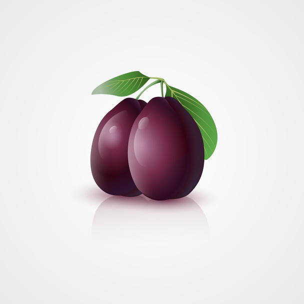 Plums with leaves. Vector illustration. - Vector, Image
