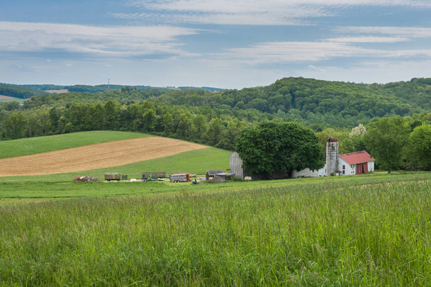 Terreno agricolo circostante William Kain Park nella contea di York, Pennsylvania
 - Foto, immagini