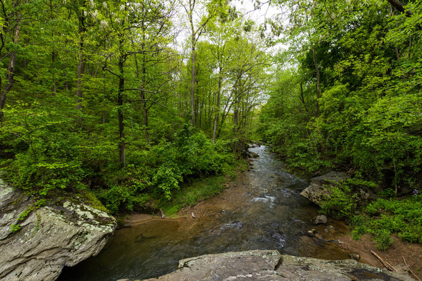 Hiking Through Pretty Boy Reservoir in Hartford County, Maryland - Photo, Image