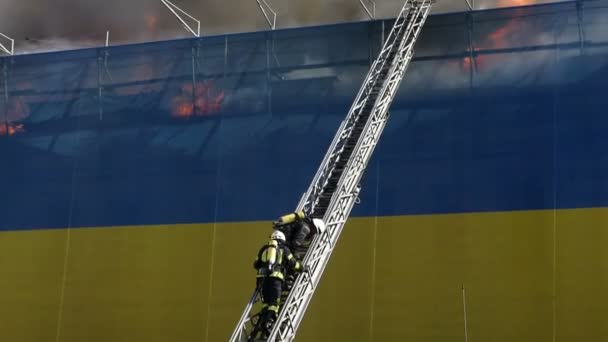 Twee brandweerlieden klimmen een hoge trap om vuur neer. - Video