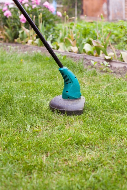 Gasoline lawn trimmer mows juicy green grass on a lawn on a sunny summer day. Garden equipment - 写真・画像