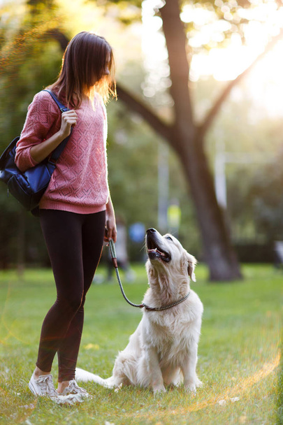 Picture of young woman on walk with retriever in summer park - Foto, Imagem