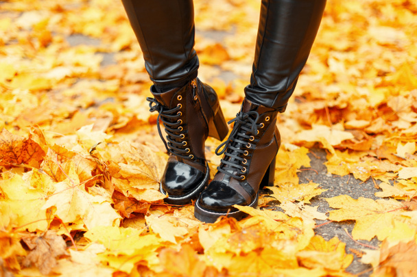 Ženské nohy s módní kožené boty v podzimní žluté listy - Fotografie, Obrázek