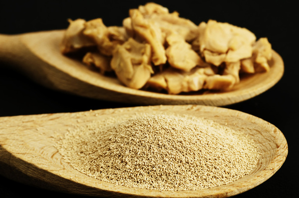 Baking ingredient yeast powder - Photo, Image