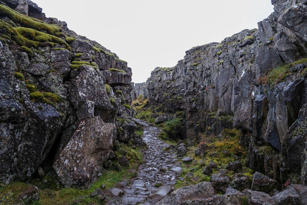 Valley in Thingvellir National Park, Southwestern Iceland - Photo, Image