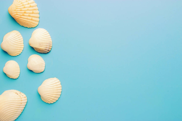 Seashells on blue background - Фото, изображение