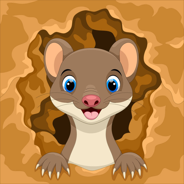 Cute weasel out of the hole  - Vector, Image