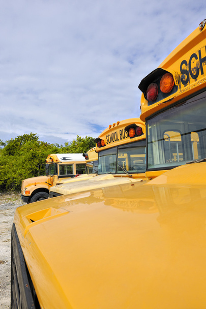 geparkeerde gele schoolbussen in gouverneur - Foto, afbeelding