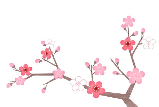 Plum blossoms New year's card spring icon - Vector, Image