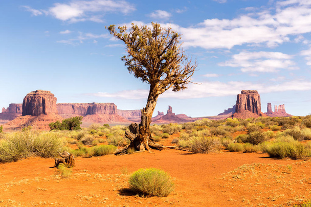 View of Monument Valley Desert - Photo, Image