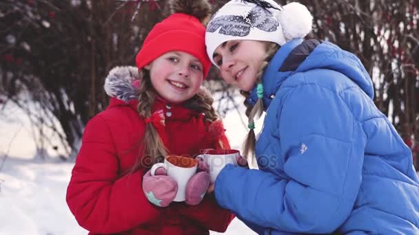 winter drinken thee in het bos - Video