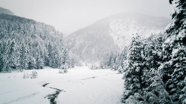 Opady śniegu w Alpach włoskich - Zdjęcie, obraz