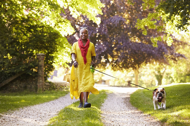 Senior Woman Walking Pet Bulldog - Foto, afbeelding