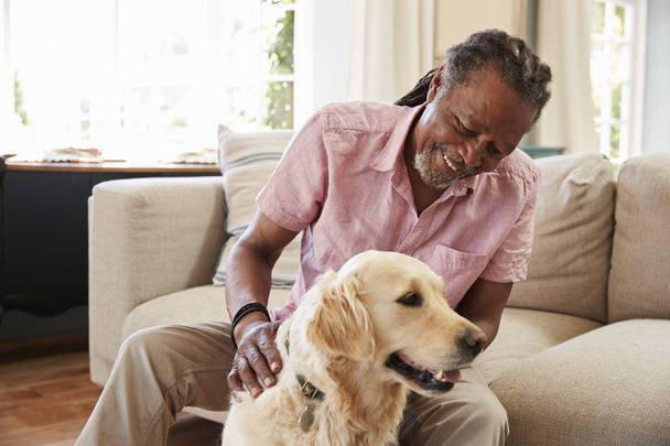 Senior Man With Pet Labrador Dog - Valokuva, kuva