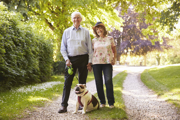 Vanhempi pari kävely Pet Bulldogin kanssa
 - Valokuva, kuva