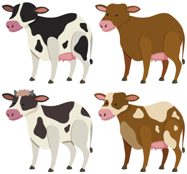 vier Kühe mit unterschiedlichen Hautfarben - Vektor, Bild