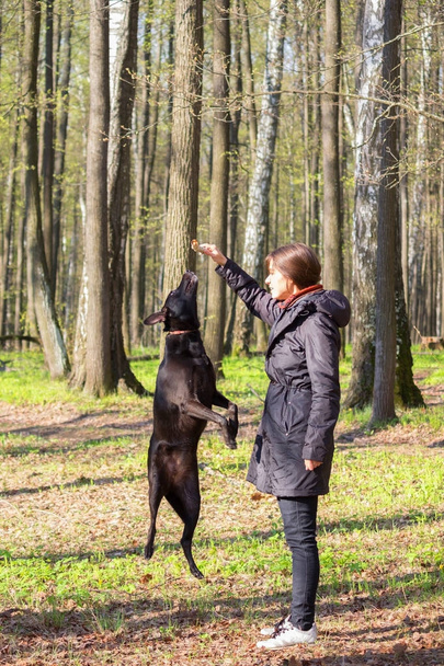 young woman play with black dog in a park - Фото, зображення